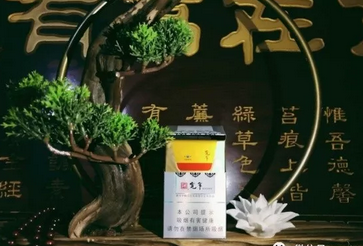 云霄香烟上市没有
